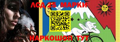 кокс Бийск