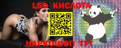 кокс Бийск