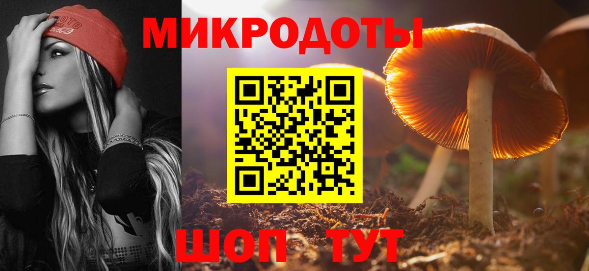 Псилоцибиновые грибы GOLDEN TEACHER  дарнет шоп  Кириши  Вход с VPN  Псилоцибиновые грибы прущие грибы 