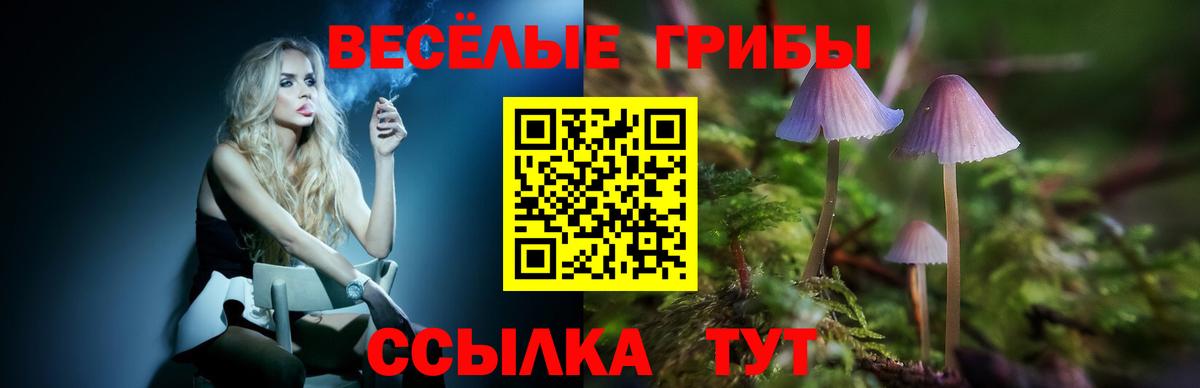 Галлюциногенные грибы Psilocybine cubensis Кириши